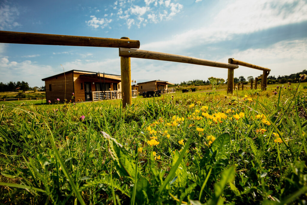 Camping avec cottages en bois en Lozère