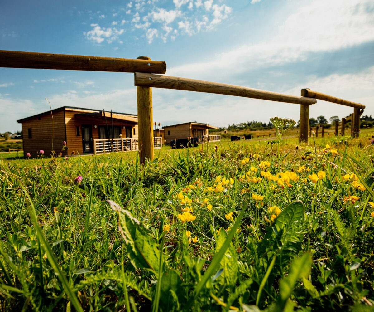Camping avec cottages en bois en Lozère