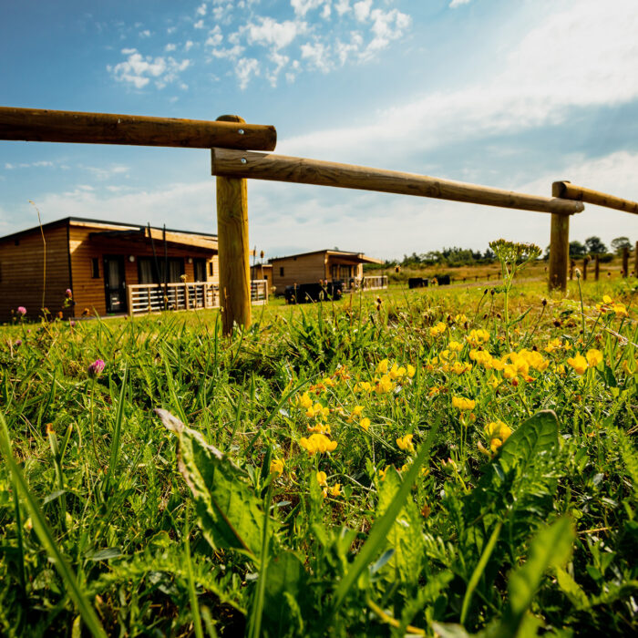 Camping avec cottages en bois en Lozère