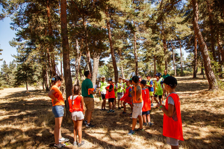 Animations collectives au camping à Langogne Les sous bois du lac