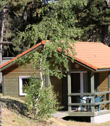 Chalet en bois edelweiss pour 5 ou 6 personnes en Lozère