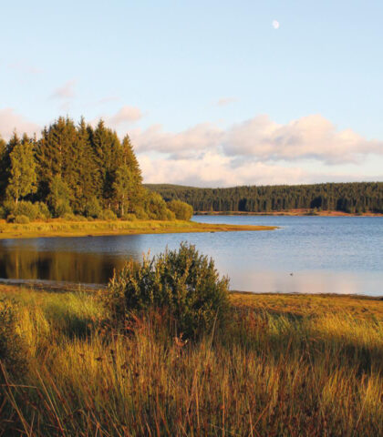 Explorer les grands lacs autour de Langogne comme le lac de Charpal