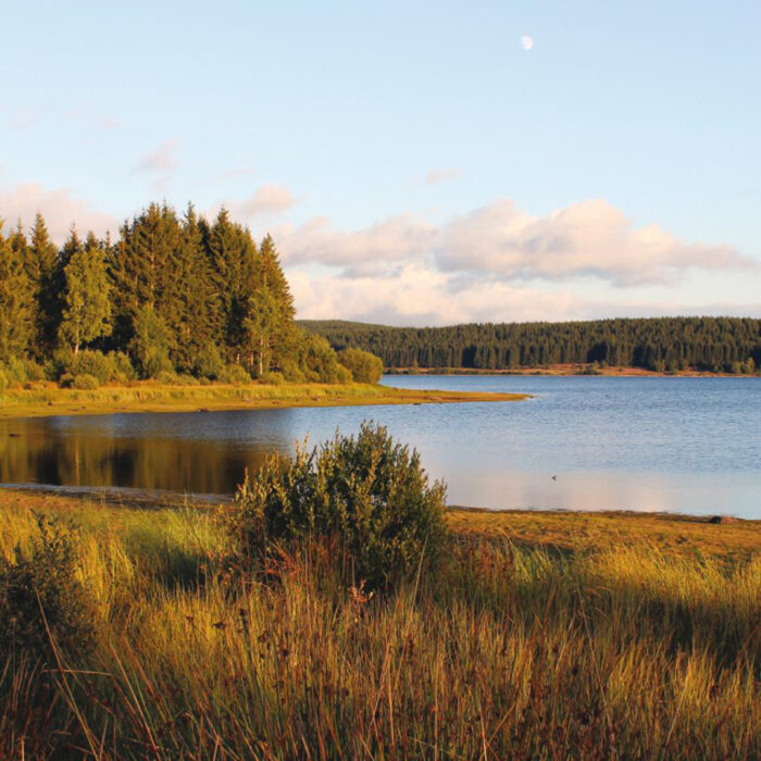Explorer les grands lacs autour de Langogne comme le lac de Charpal
