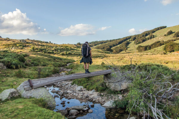 Les grands espaces de Lozère offrent une nature spectaculaire