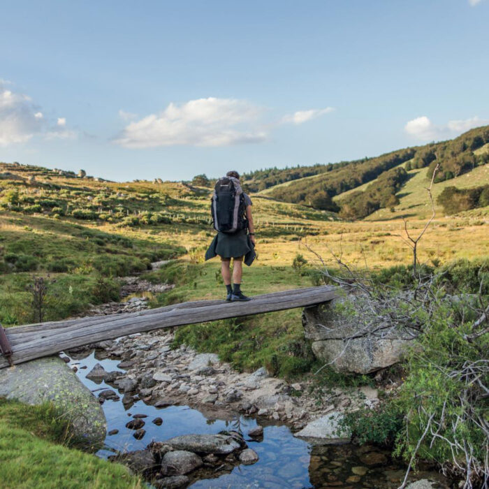 Les grands espaces de Lozère offrent une nature spectaculaire