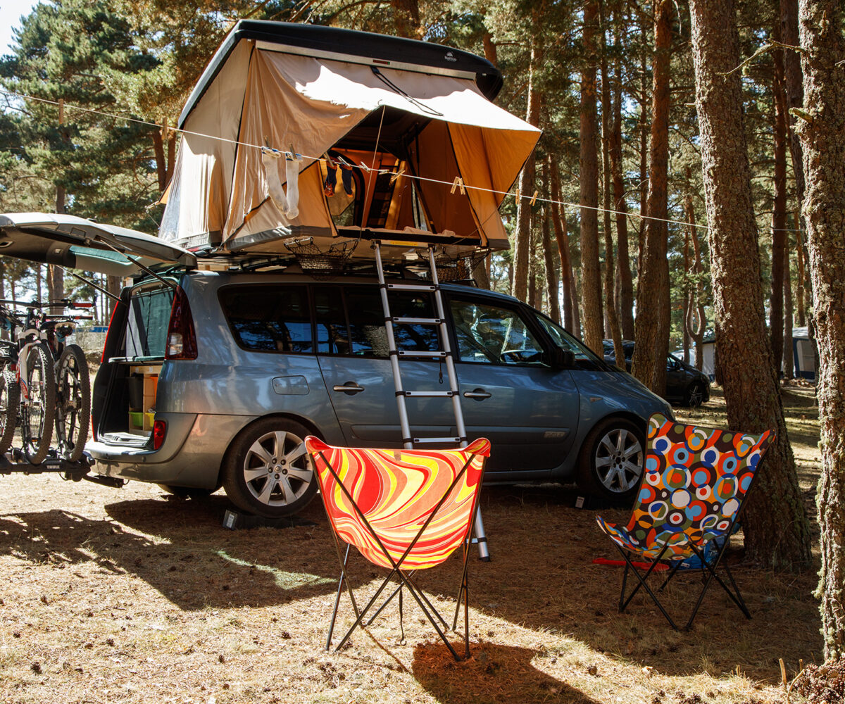 Emplacement camping au cœur de la forêt de pins en Lozère